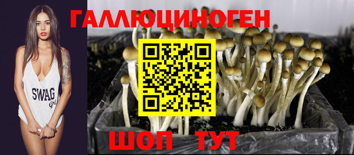купить наркотик  Вход с VPN  Дальнегорск  Галлюциногенные грибы Magic Shrooms 