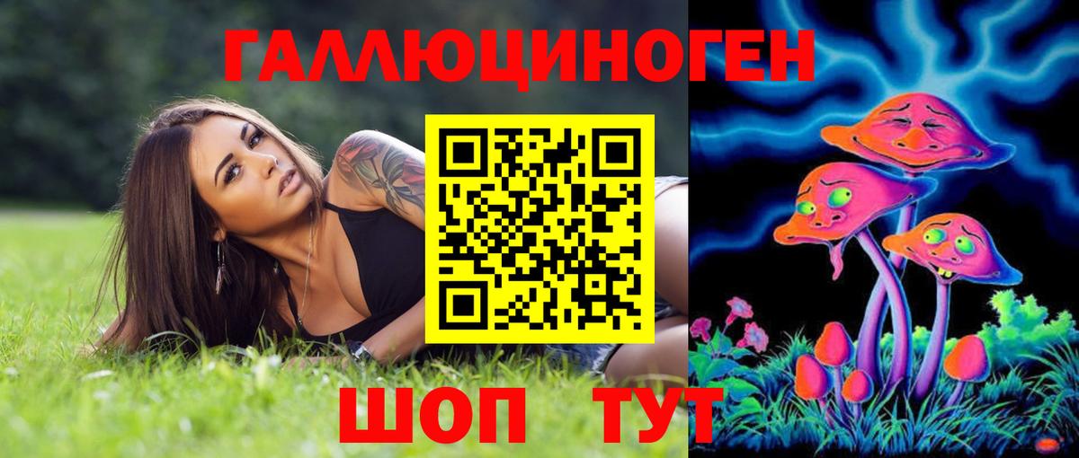 Псилоцибиновые грибы GOLDEN TEACHER Дальнегорск